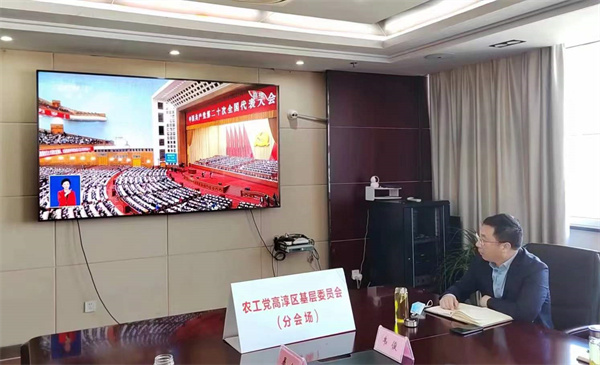 高淳区基层委员会.jpg