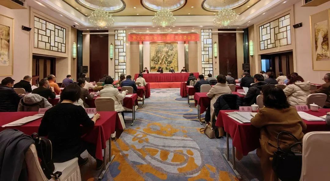 农工党南京市十四届三次全委会议召开1.jpg