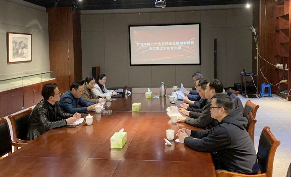 农工党南京市江宁区综合支部学习贯彻中共二十大和2023年全国两会精神.jpg