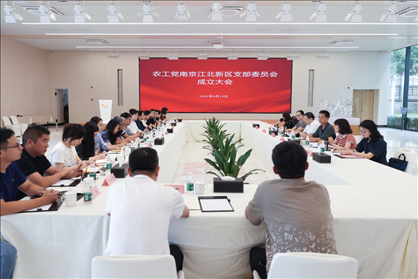 农工党南京江北新区支部委员会成立大会顺利召开（1）.jpg
